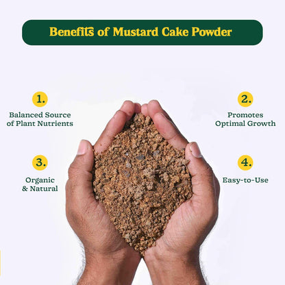 Bloom Fuel Mustard Fertilizer